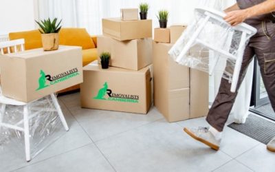 Things You Can Do Before The Arrival Of Removalists